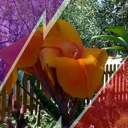 B&B Villa Roccella 캄포펠리체 디 로첼라