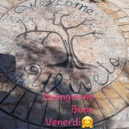 B&B Villa Roccella
